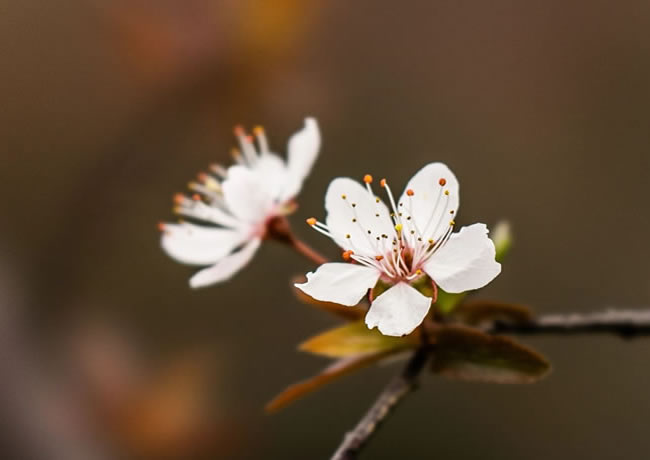 产品标题6【后台可添加、修改、删除】