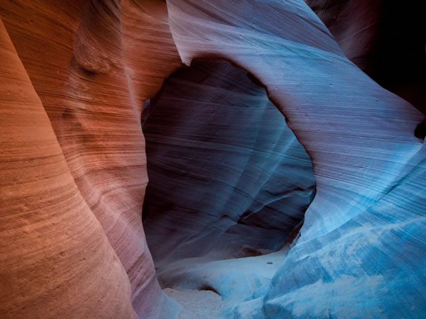 这里填写相关的信息10