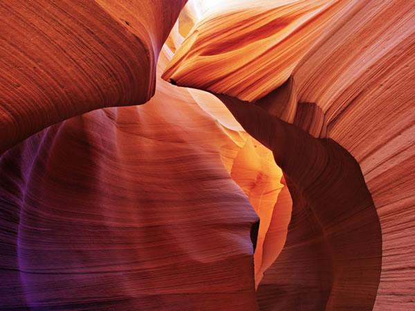 这里填写相关的信息11