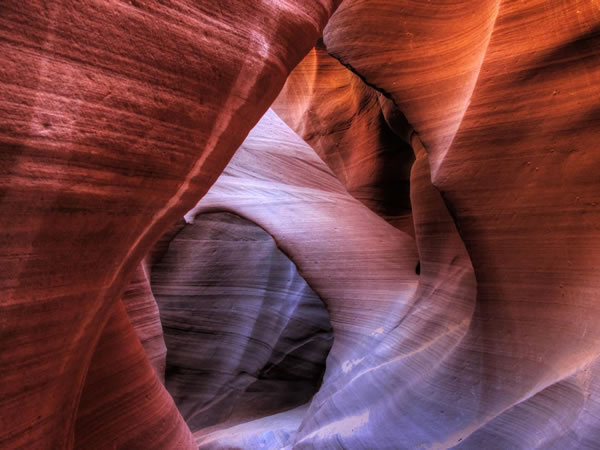 这里填写相关的信息7