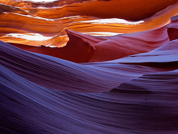 这里填写相关的信息9