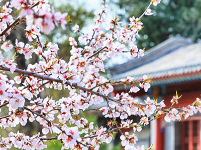 一句话说说经典有哲理 2019最火的哲理句子发朋友圈的