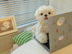 记录正在减肥人的扎心语录 最狠毒的减肥语录