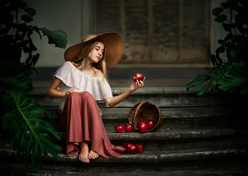 这里填写相关的信息