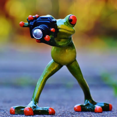 这里填写相关的产品名称