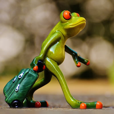 这里填写相关的产品名称