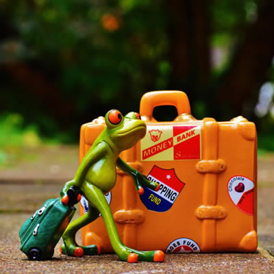 这里填写相关的产品名称