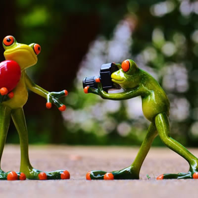 这里填写相关的产品名称