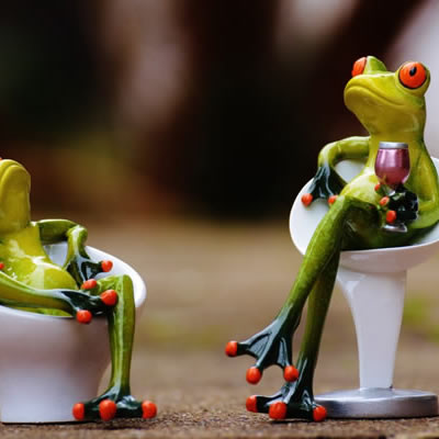 这里填写相关的产品名称