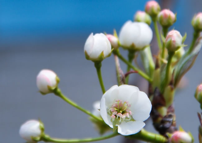 案例信息10【后台可修改删除添加】