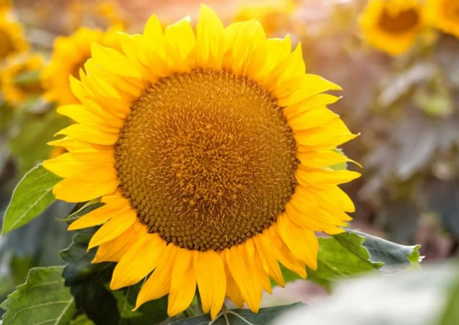 产品分类内容11【后台可修改删除添加】