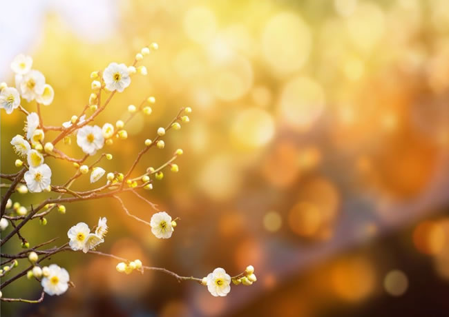 产品分类内容12【后台可修改删除添加】