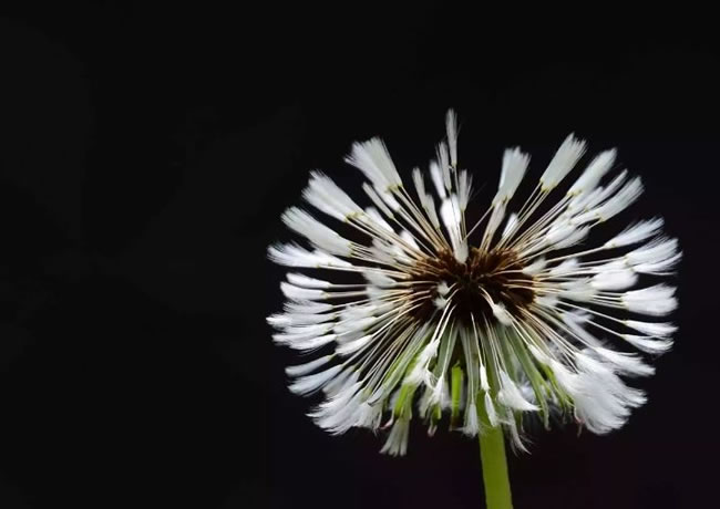 产品分类内容13【后台可修改删除添加】