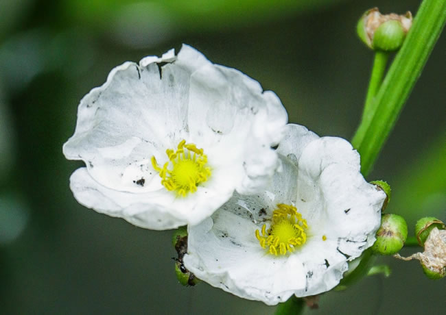 产品分类内容14【后台可修改删除添加】