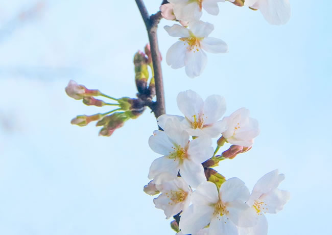 产品分类内容15【后台可修改删除添加】