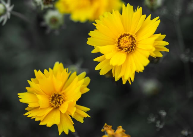 产品分类内容16【后台可修改删除添加】