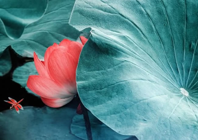 案例信息4【后台可修改删除添加】