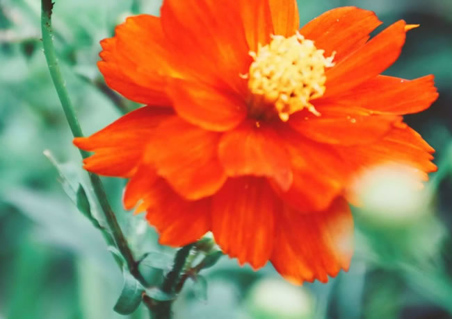 案例信息7【后台可修改删除添加】