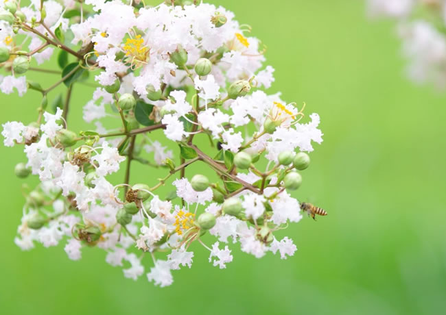 案例信息8【后台可修改删除添加】