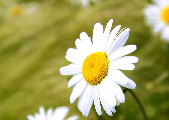 案例信息9【后台可修改删除添加】