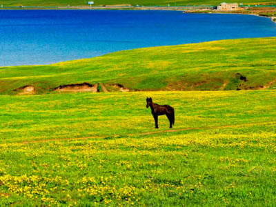 微信个性说说霸气独特 朋友圈点赞的火爆句子