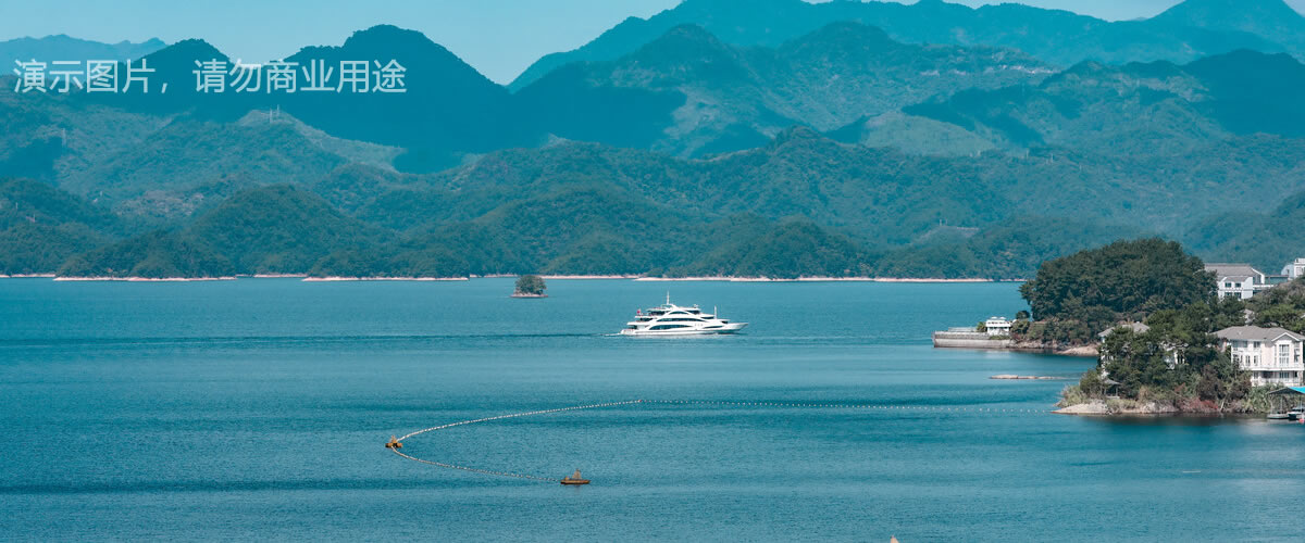 从今天开始，我不再是单身狗，而是热狗!