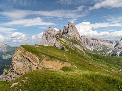 案例展示相关名称