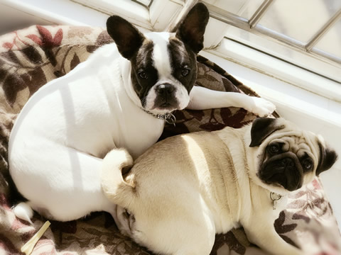 服务案例相关信息