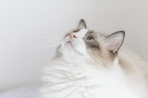 服务案例相关信息