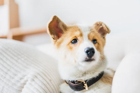 服务案例相关信息