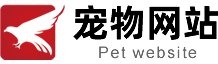 宠物护理网站宠物网站模板