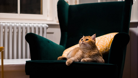 这里填写相关的信息这里填写相关的信息