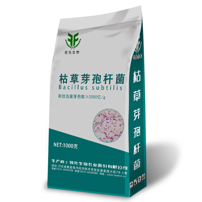 这里填写相关的信息这里填写相关的信息