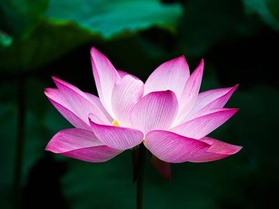 这里填写相关的产品标题