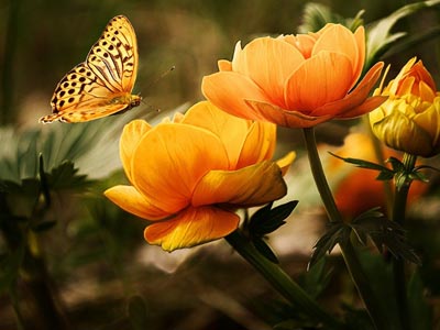 这里填写相关的产品标题