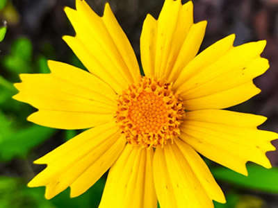 这里填写相关的产品标题