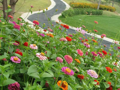 这里填写相关的产品标题