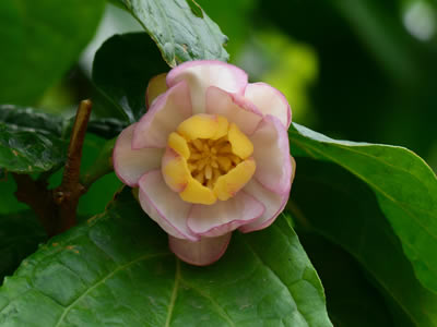 这里填写相关的产品标题