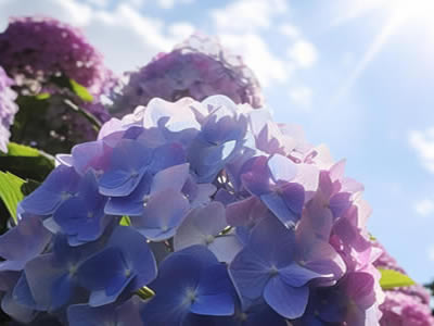 这里填写相关的产品标题