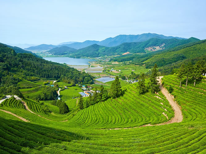 生产基地相关标题生产基地相关标题