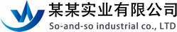 某某科技有限公司 某某科技有限公司
